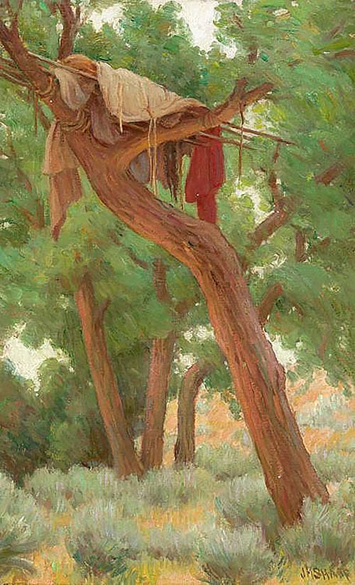 Cottonwood Tree Grave, Crow; [Cottonwood Tree Grave (Crow) on Reno Battle field]